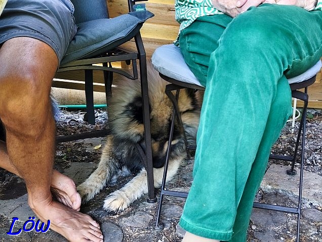 5.7.2025 - Unter F&uuml;&szlig;en